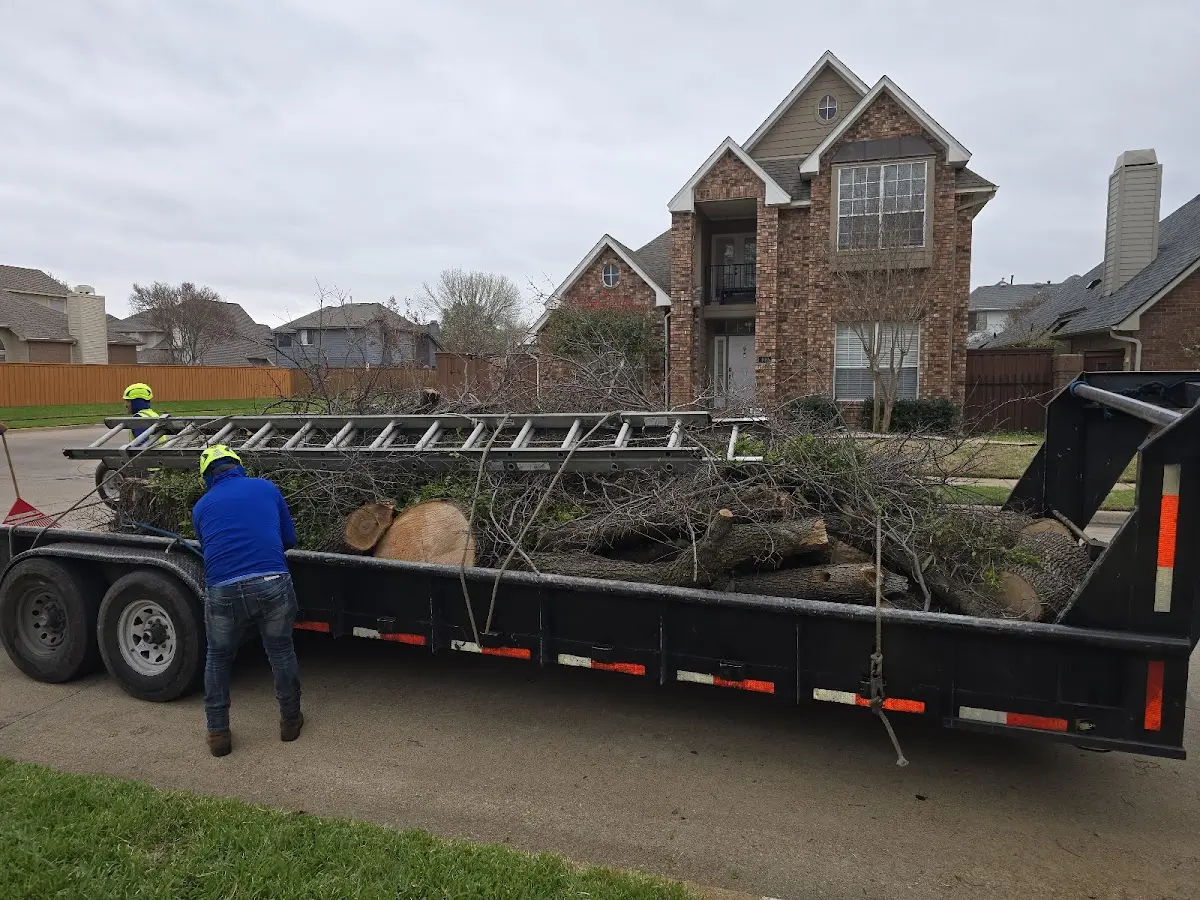 Expert Lot Clearing with proper safety equipment in Meacham